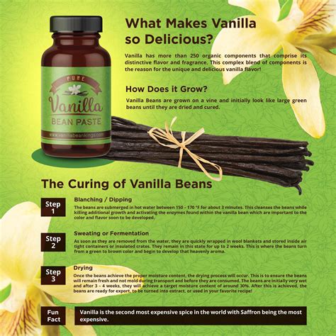 Vanilla bean kings - The Best Vanilla Brought Right to You. Our traditionally cured fresh vanilla beans develop a full, complex vanilla flavor made of over 200 organic compounds. The entire process takes 6 to 9 months after pollination. Vanilla processing and curing is a true art form. 